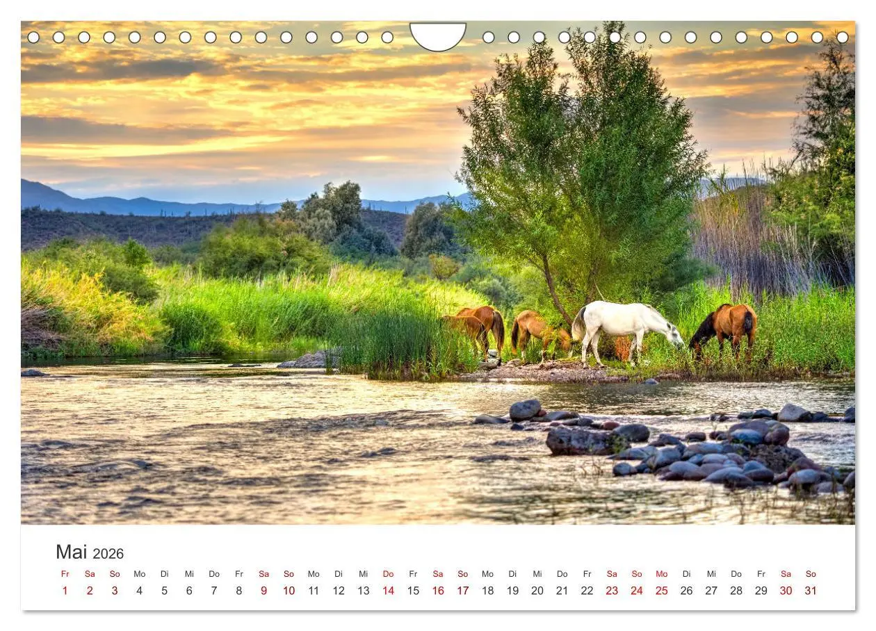 Bild: 9783457552070 | Freiheitsliebende Wildpferde (Wandkalender 2026 DIN A4 quer),...