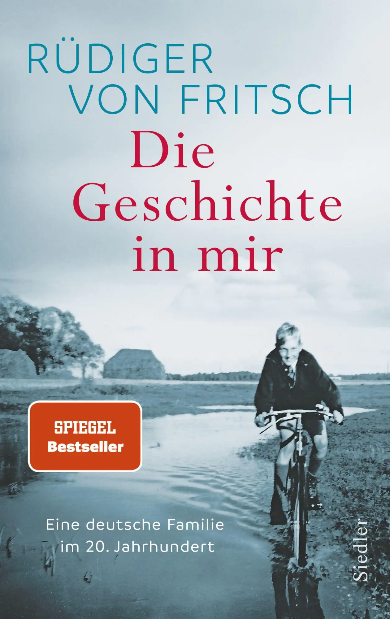 Cover: 9783827502070 | Die Geschichte in mir | Rüdiger von Fritsch | Buch | 336 S. | Deutsch