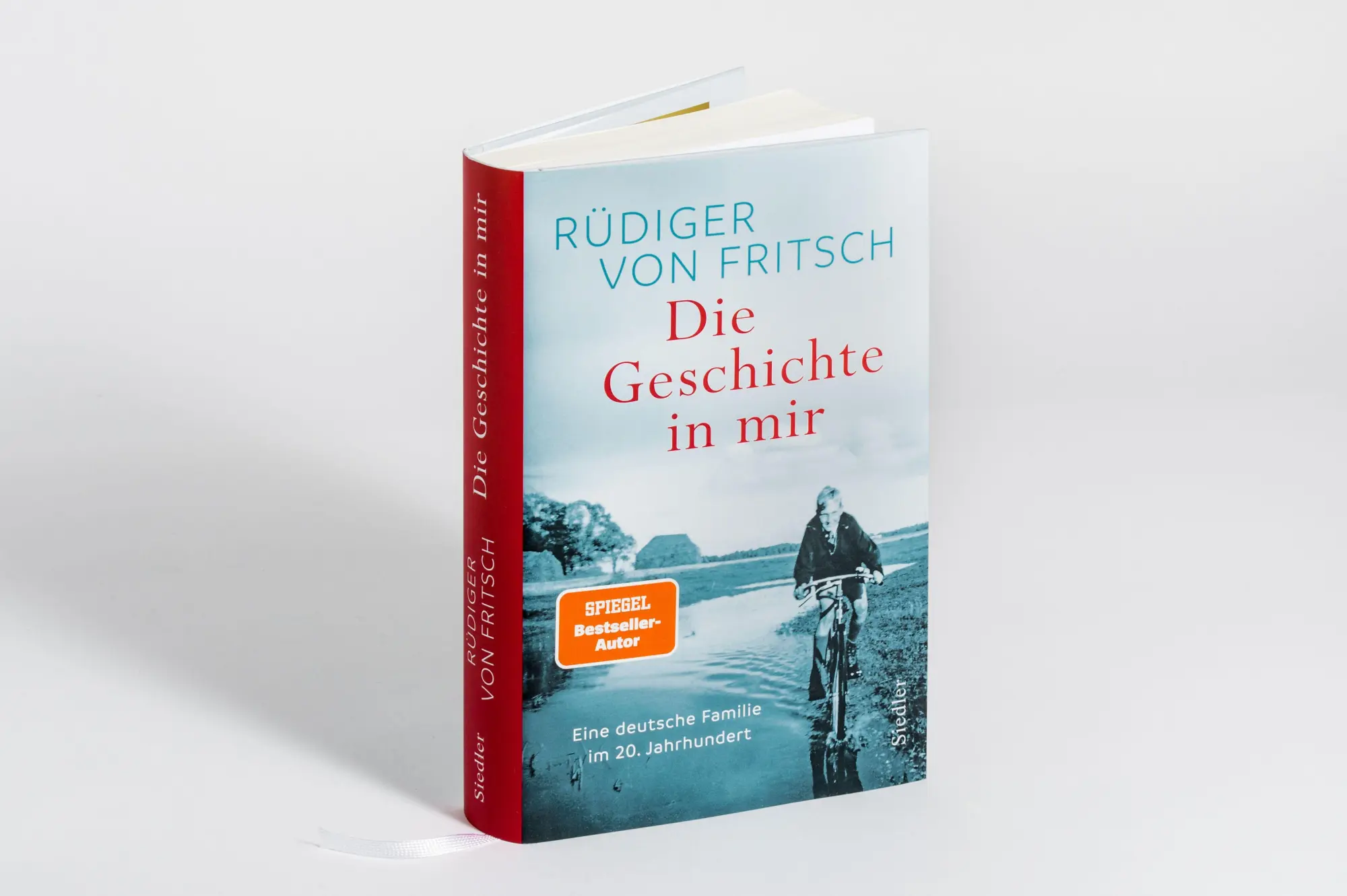 Bild: 9783827502070 | Die Geschichte in mir | Rüdiger von Fritsch | Buch | 336 S. | Deutsch