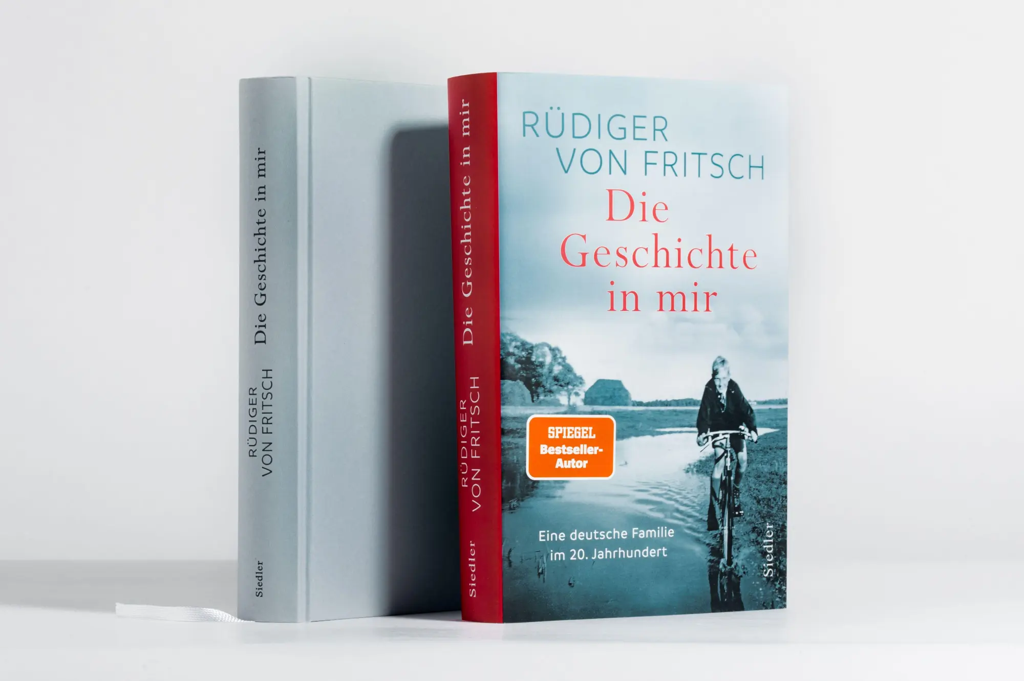 Bild: 9783827502070 | Die Geschichte in mir | Rüdiger von Fritsch | Buch | 336 S. | Deutsch