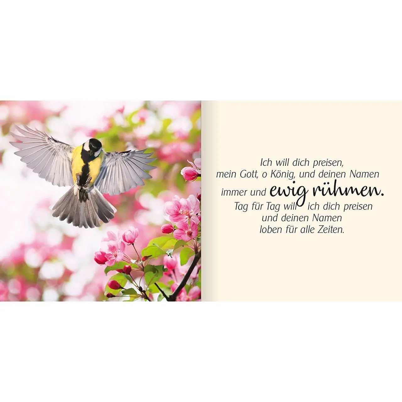 Bild: 9783863382070 | Ich schenke dir Psalm 145 | Deine Wunder erfüllen die Welt | Buch