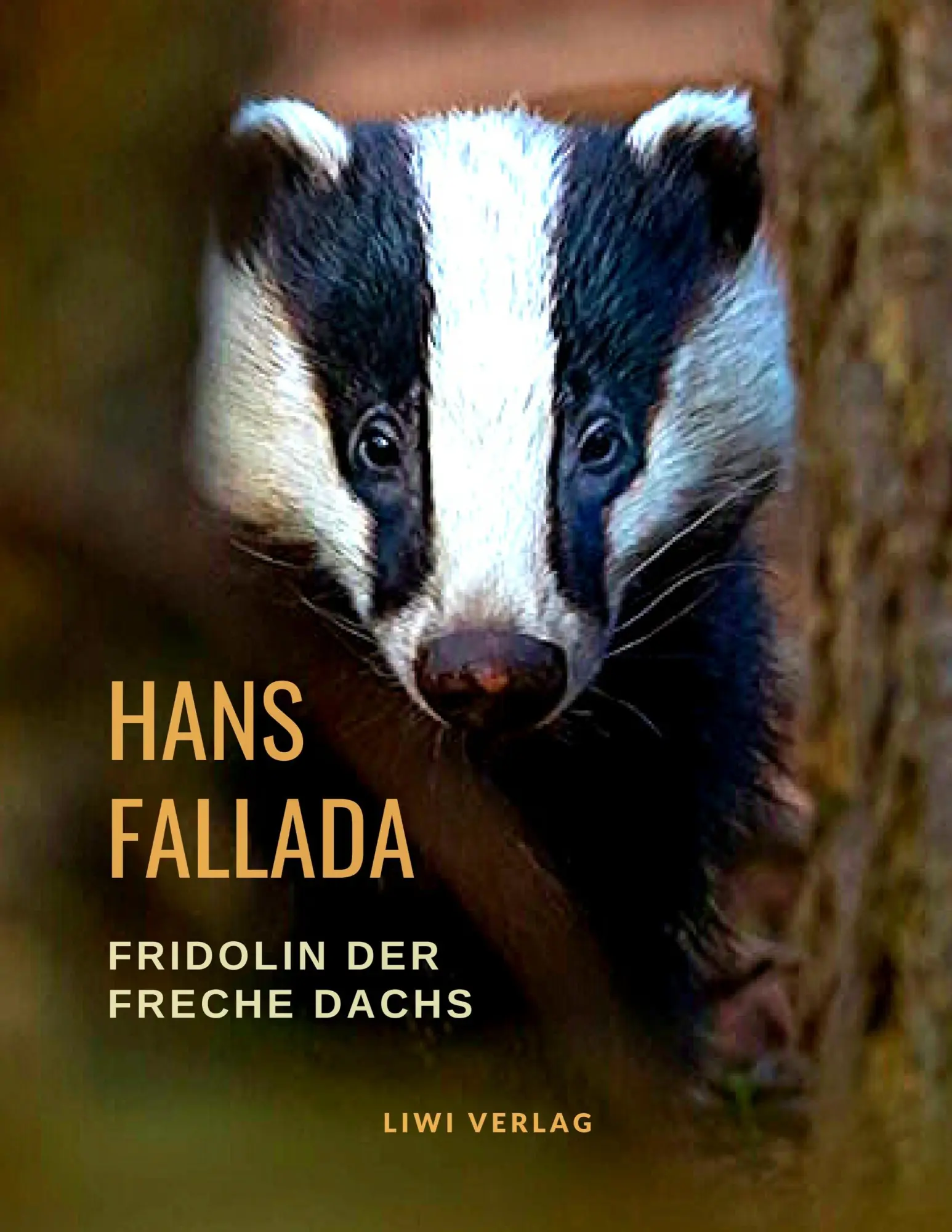 Cover: 9783965422070 | Fridolin der freche Dachs | Hans Fallada | Taschenbuch | 88 S. | 2019