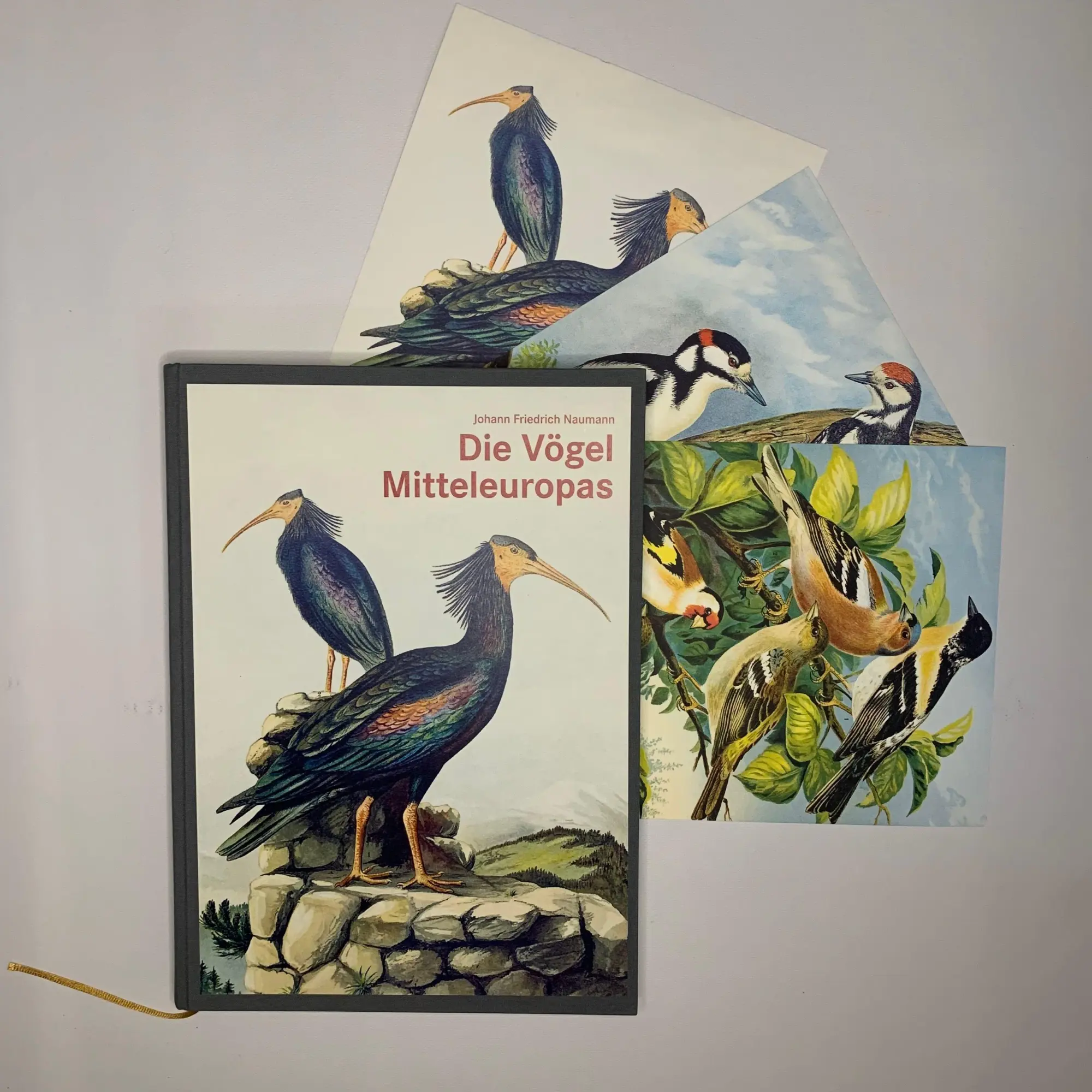 Cover: 9783968492070 | Die Vögel Mitteleuropas (Luxusausgabe im Großformat) | Naumann | Buch