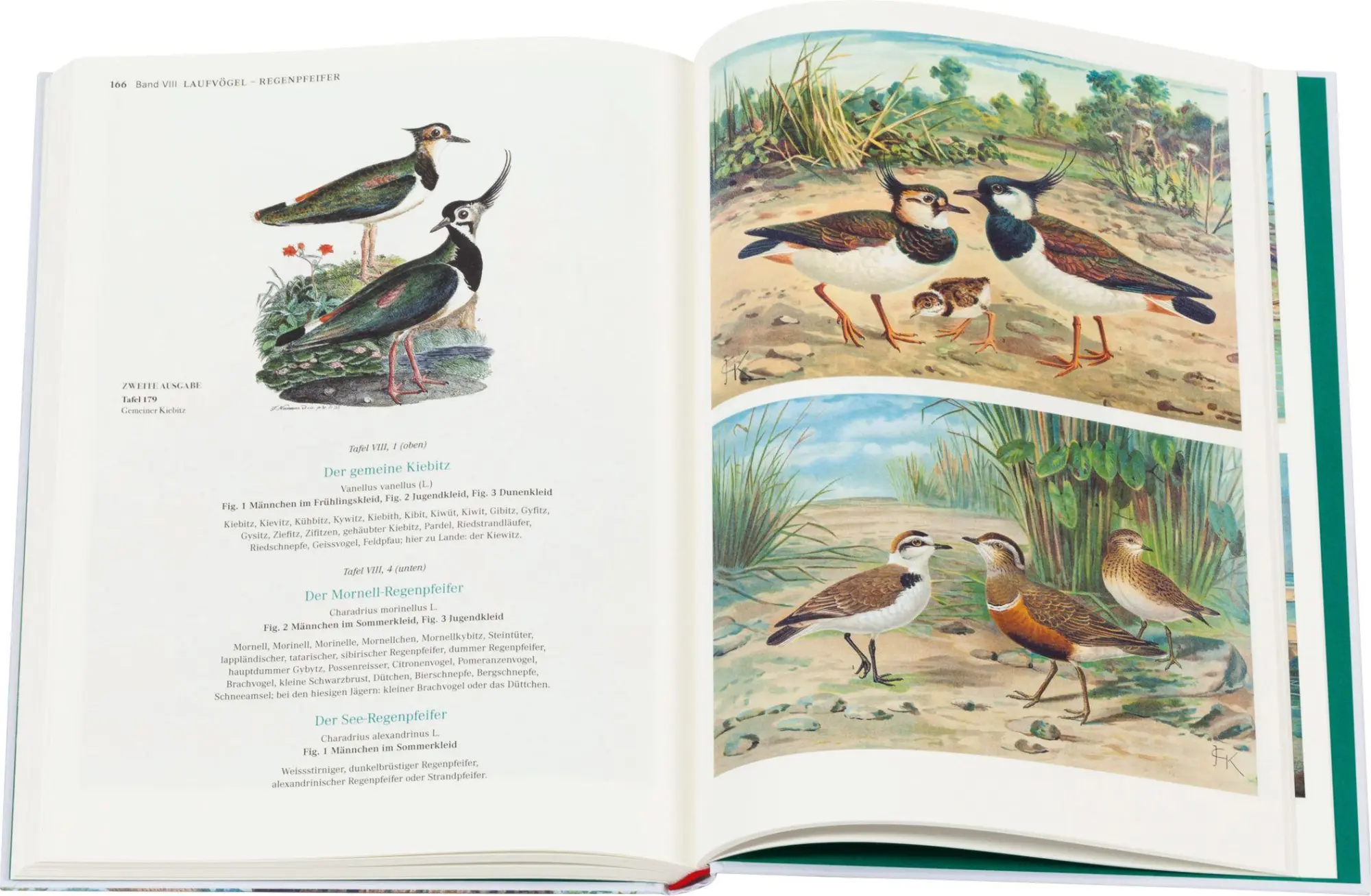 Bild: 9783968492070 | Die Vögel Mitteleuropas (Luxusausgabe im Großformat) | Naumann | Buch