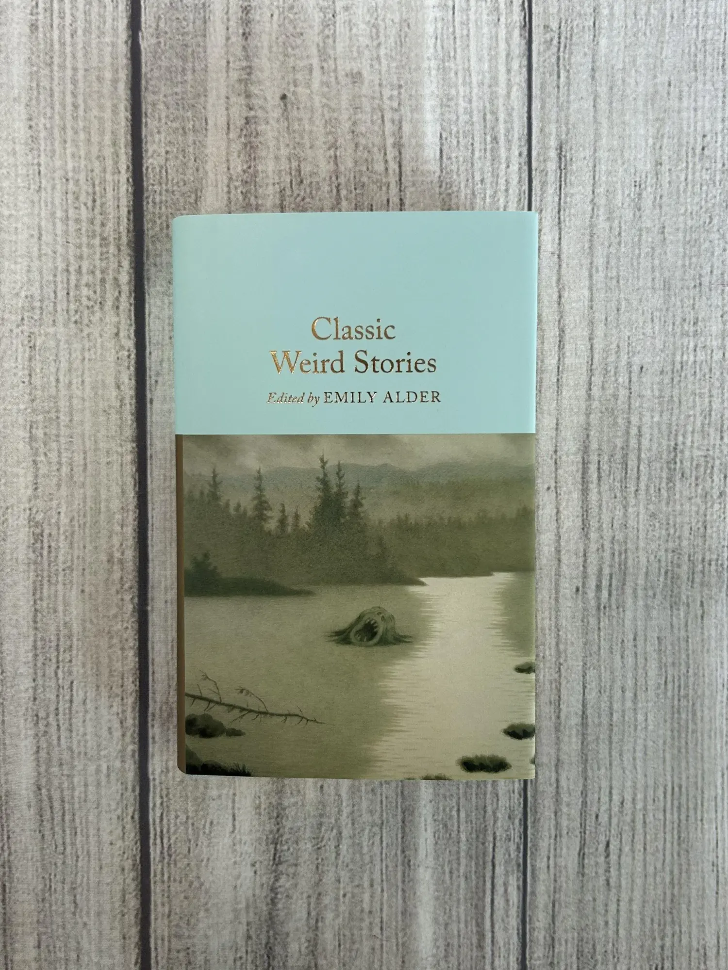 Bild: 9781035072170 | Classic Weird Stories | Emily Alder | Buch | 406 S. | Englisch | 2026