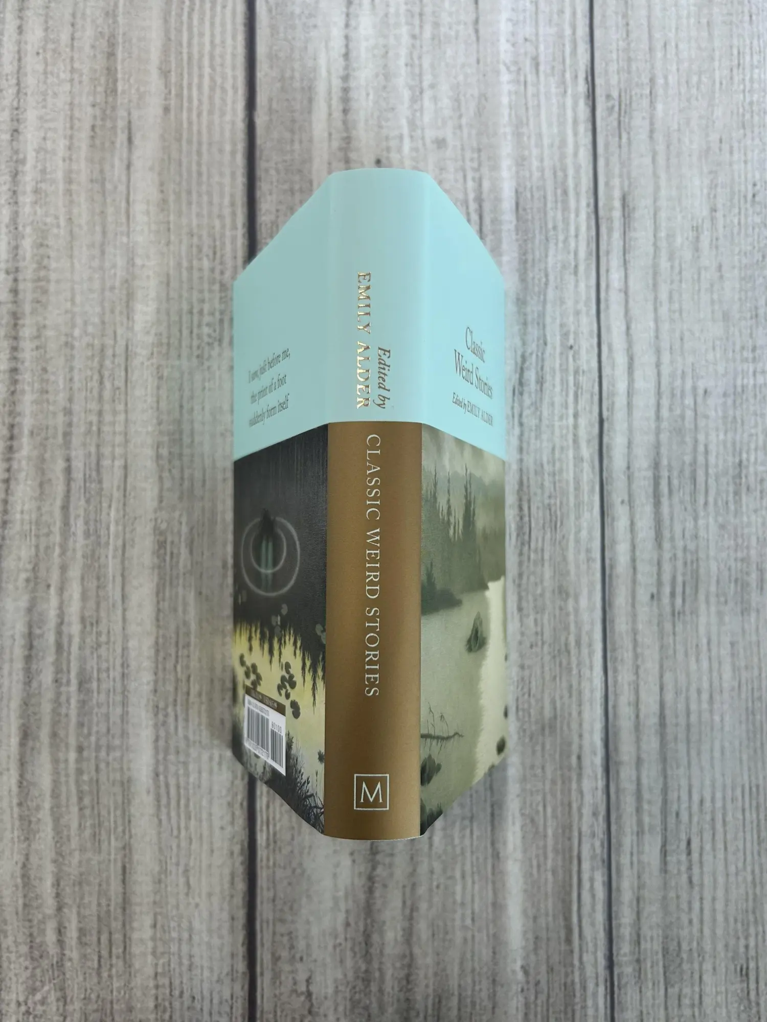 Bild: 9781035072170 | Classic Weird Stories | Emily Alder | Buch | 406 S. | Englisch | 2026