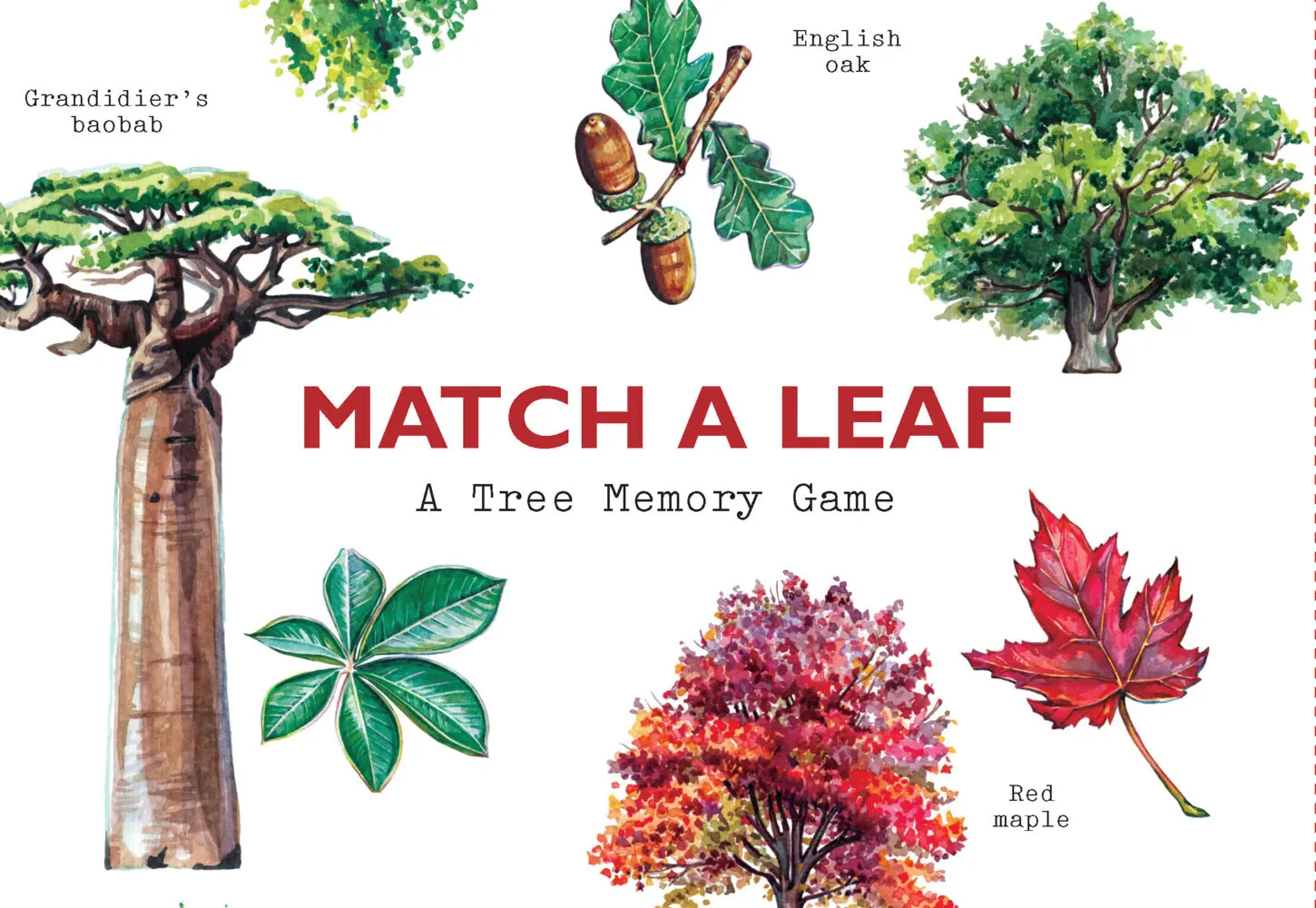 Cover: 9781786272270 | Match a Leaf | A Tree Memory Game | Tony Kirkham | Box | 50 S. | 2018
