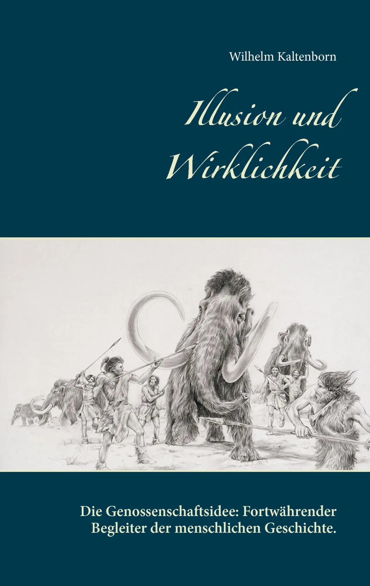 Cover: 9783739232270 | Illusion und Wirklichkeit | Wilhelm Kaltenborn | Taschenbuch | 64 S.
