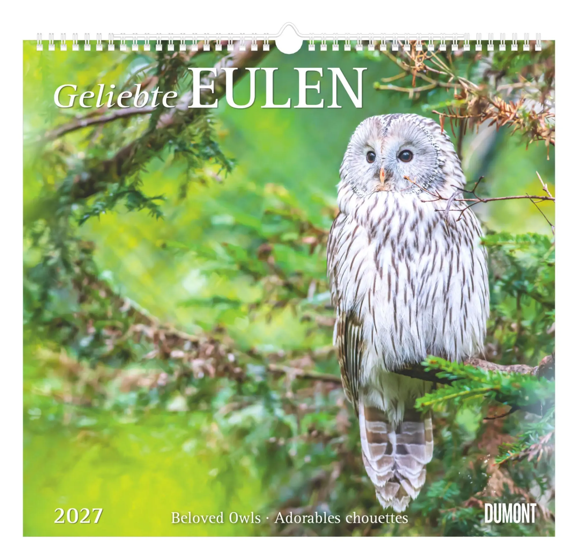 Cover: 4069095012370 | Geliebte Eulen 2027 | Neumann Verlage GmbH &amp; Co KG | Kalender | 14 S.