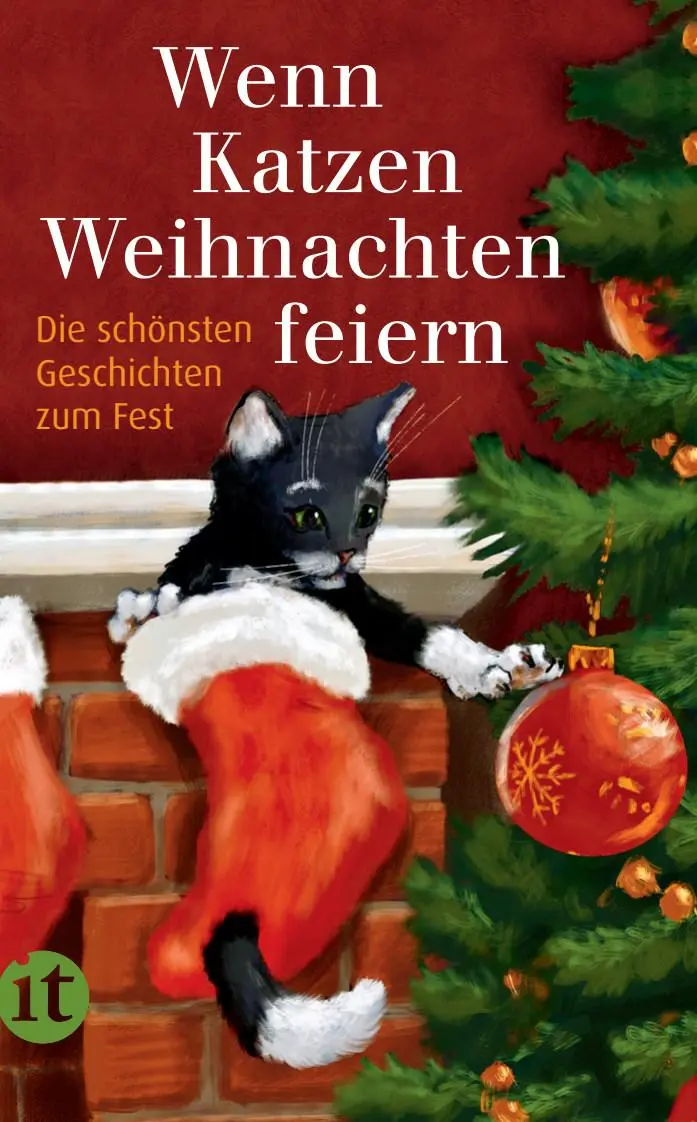 Cover: 9783458682370 | Wenn Katzen Weihnachten feiern | Die schönsten Geschichten | Dammel