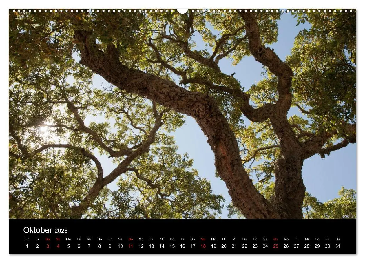 Bild: 9783516162370 | Sardinien Costa Smeralda und der Norden (Wandkalender 2026 DIN A2...