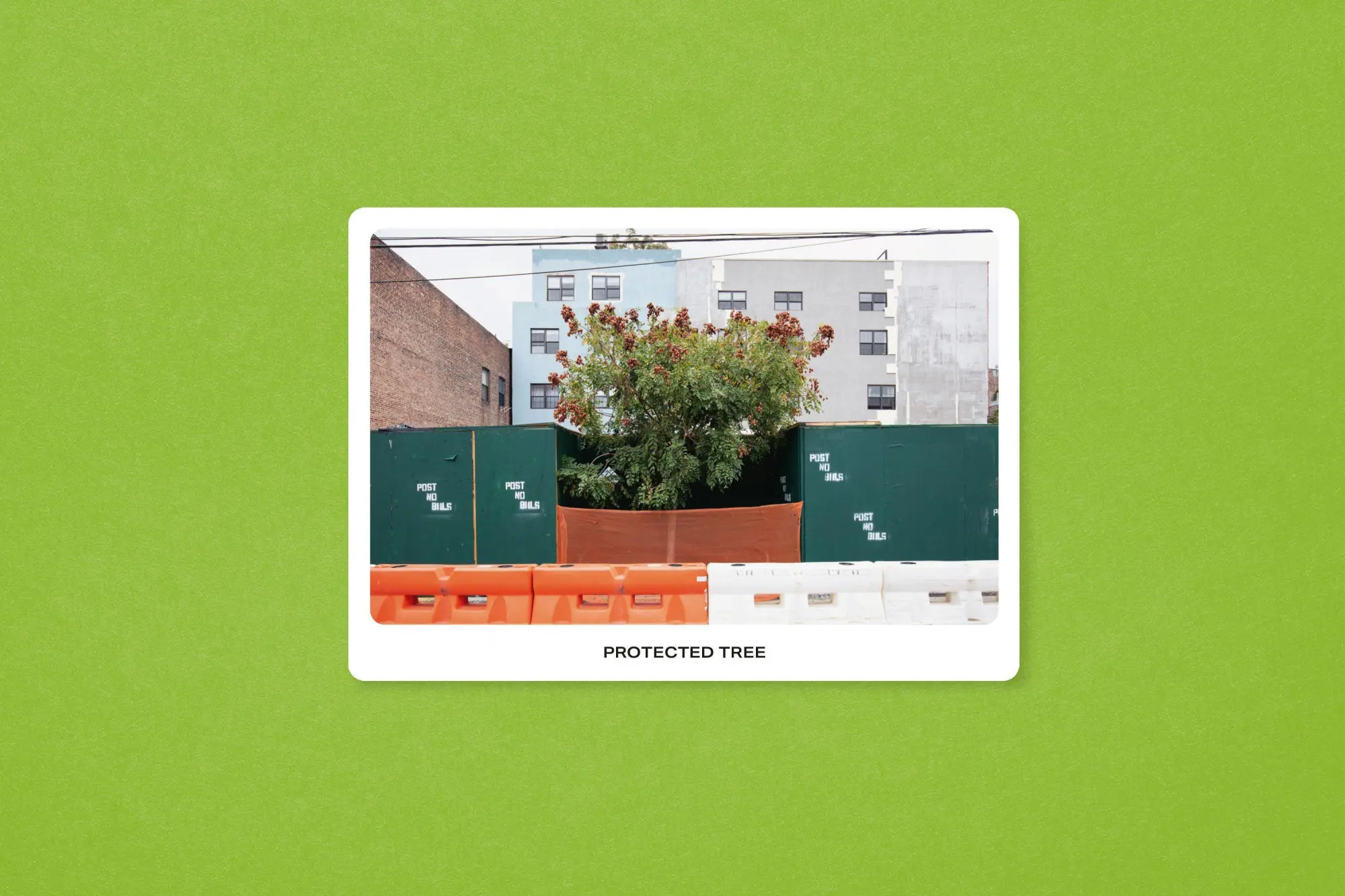 Bild: 9783987412370 | New York City Street Tree Tarot | Matthew López-Jensen | Taschenbuch