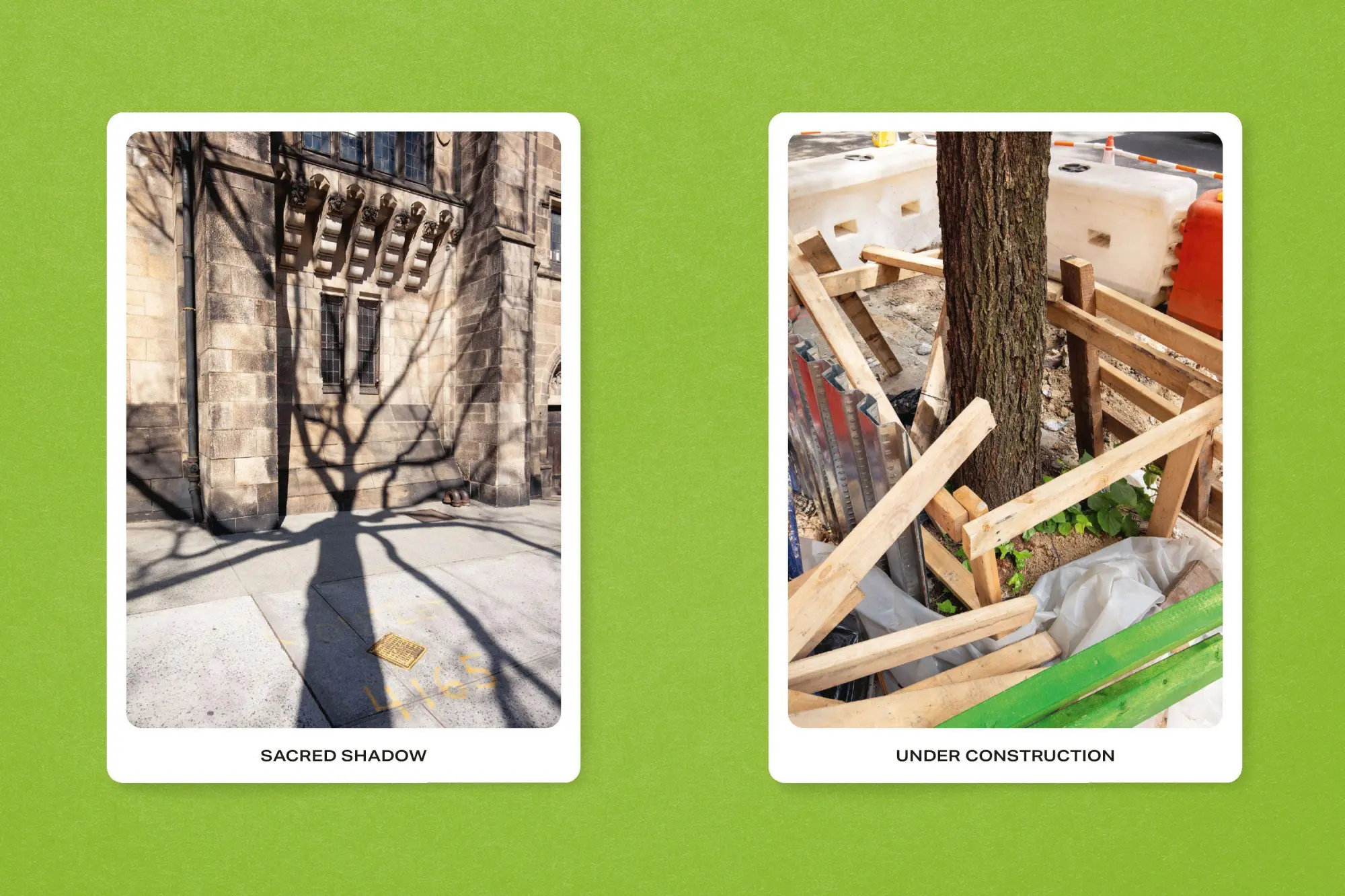 Bild: 9783987412370 | New York City Street Tree Tarot | Matthew López-Jensen | Taschenbuch