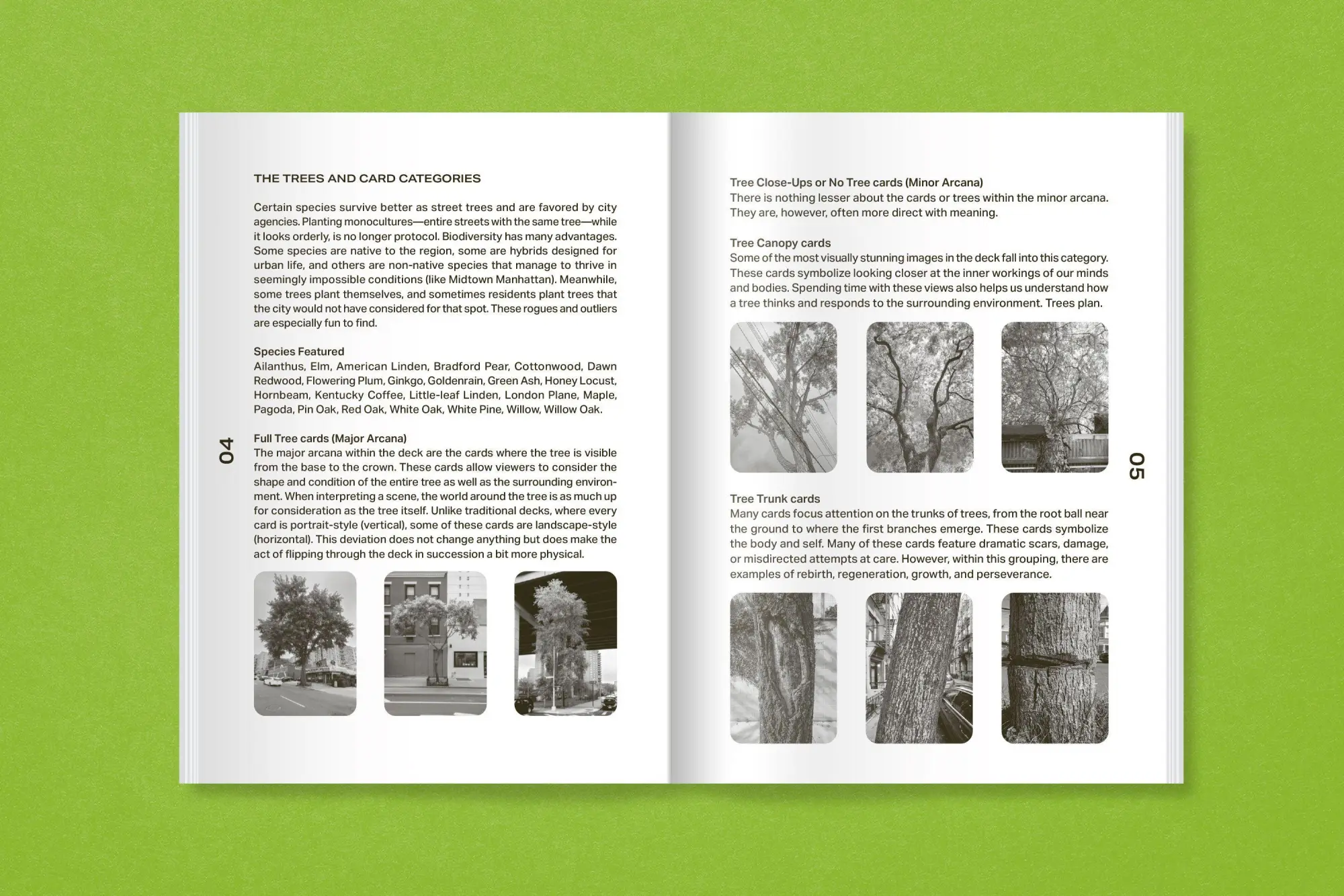 Bild: 9783987412370 | New York City Street Tree Tarot | Matthew López-Jensen | Taschenbuch