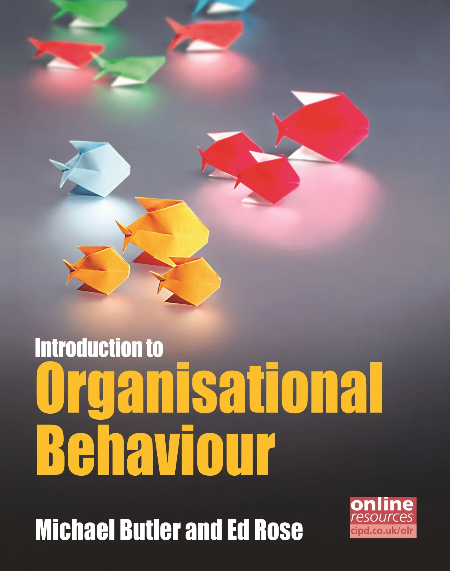 Cover: 9781843982470 | Introduction to Organisational Behaviour | Michael Butler (u. a.)