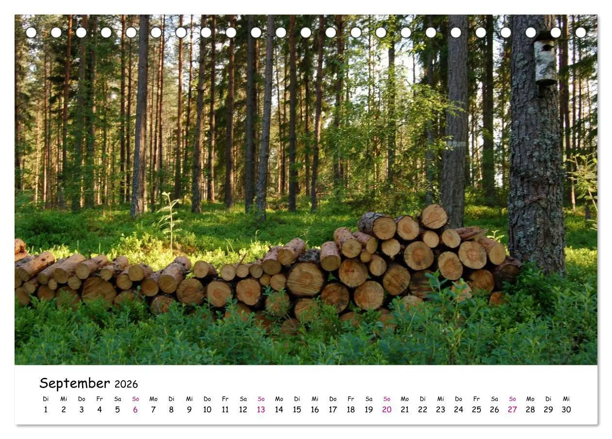Bild: 9783516152470 | Südschweden Smaland 2026 (Tischkalender 2026 DIN A5 quer), CALVENDO...