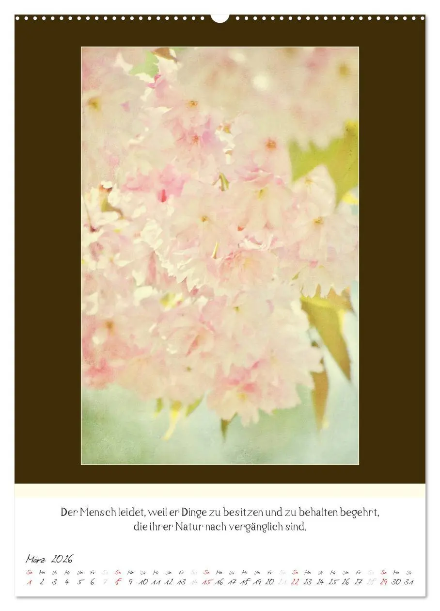 Bild: 9783516462470 | Der Buddhistische Weisheiten Kalender (hochwertiger Premium...