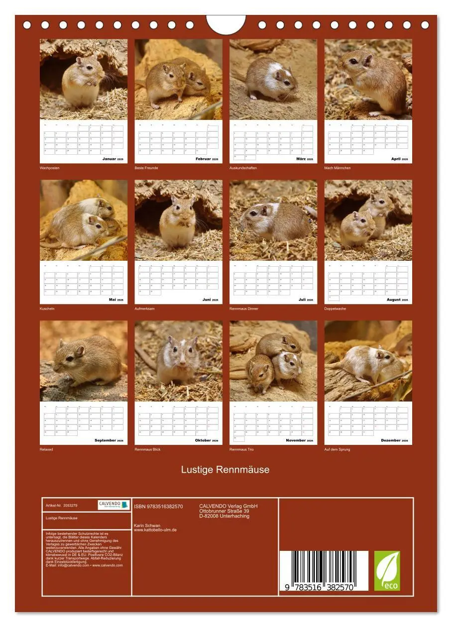Bild: 9783516382570 | Lustige Rennmäuse (Wandkalender 2026 DIN A4 hoch), CALVENDO...