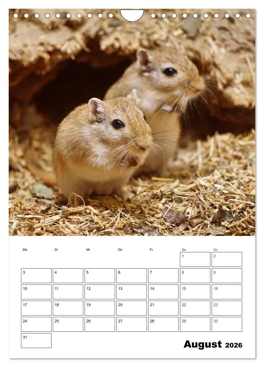 Bild: 9783516382570 | Lustige Rennmäuse (Wandkalender 2026 DIN A4 hoch), CALVENDO...