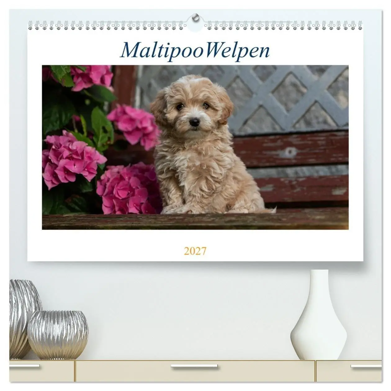 Cover: 9783569472570 | Maltipoo Welpen (hochwertiger Premium Wandkalender 2027 DIN A2...