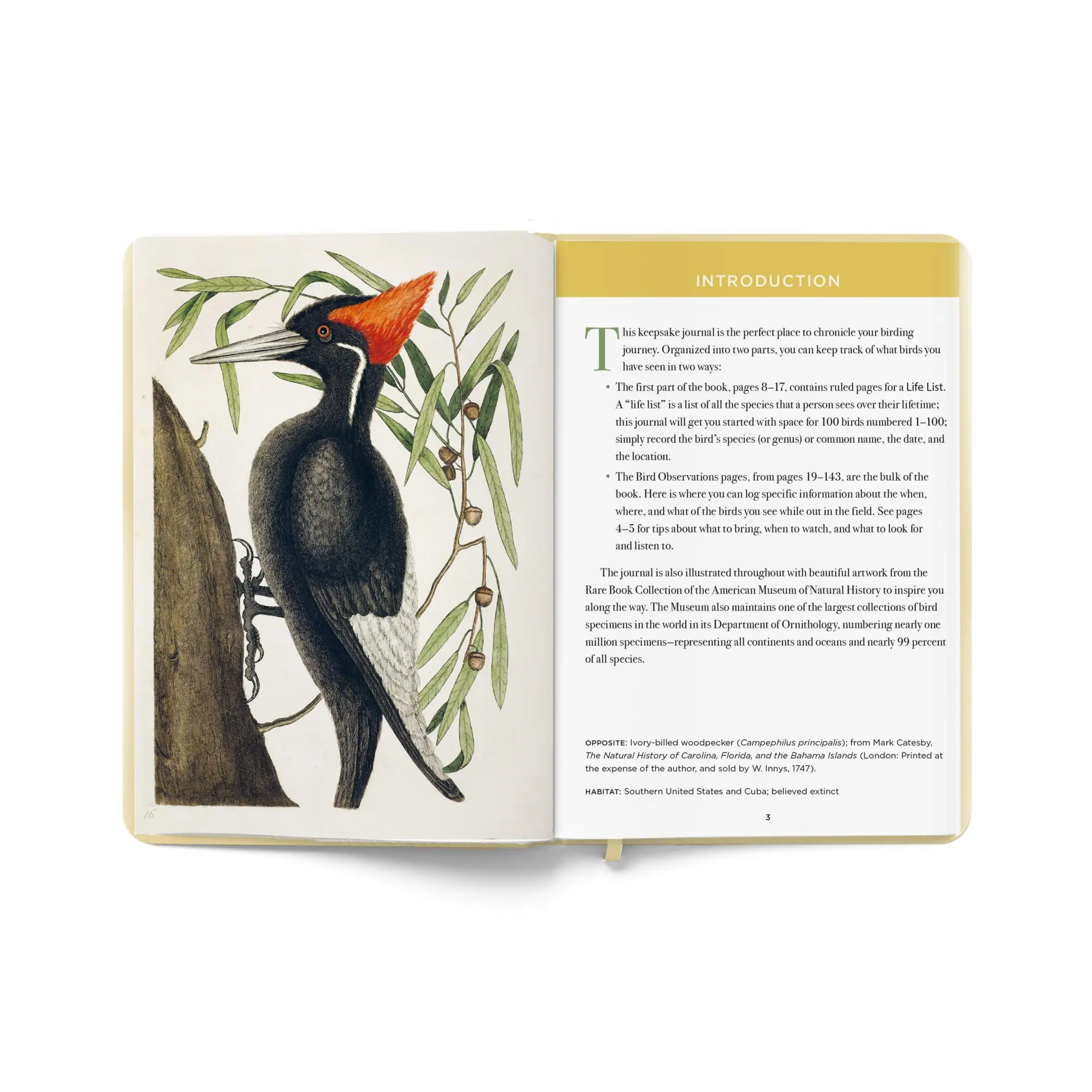Bild: 9781454962670 | The Birdwatcher's Field Journal | A Life List and Birding Diary | Buch