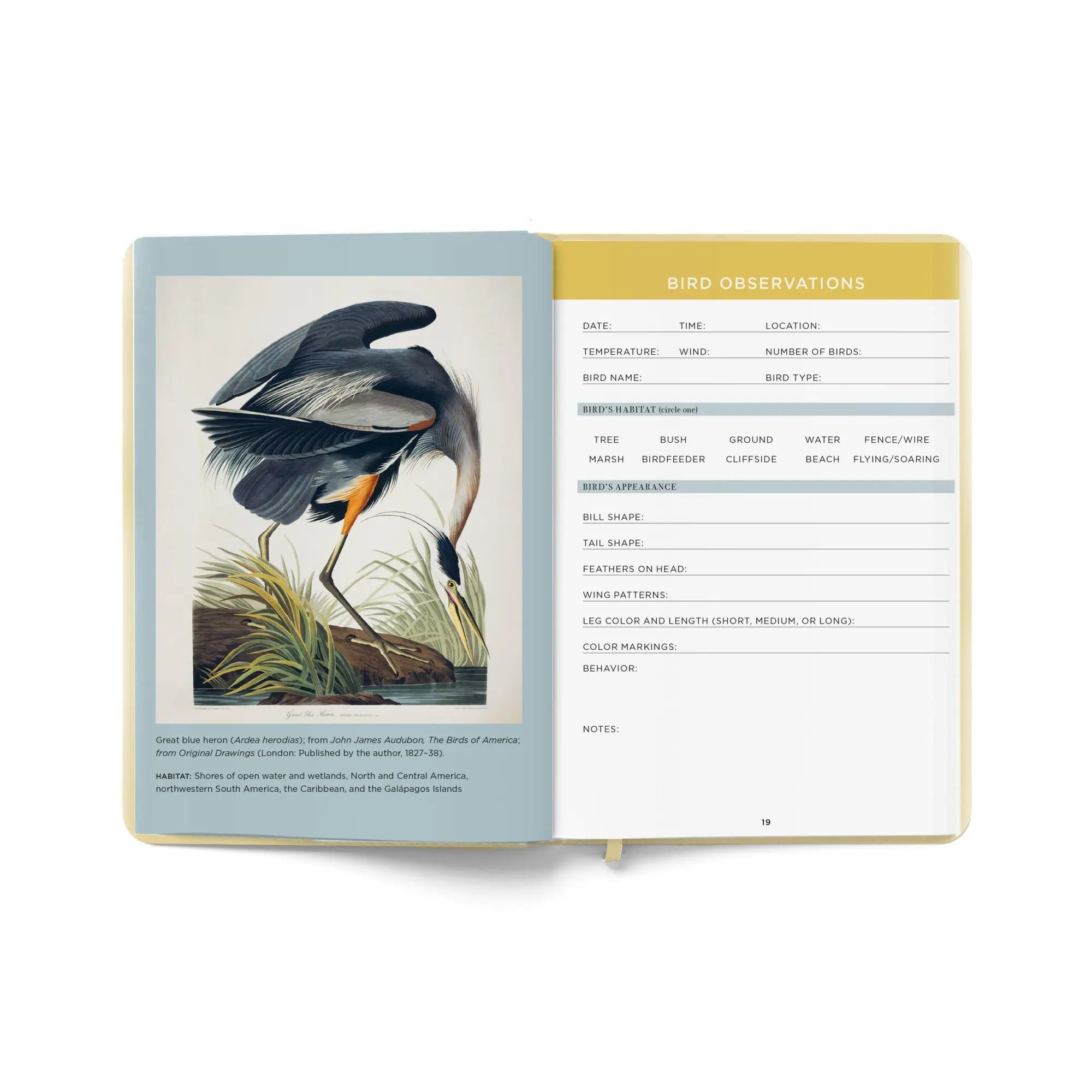 Bild: 9781454962670 | The Birdwatcher's Field Journal | A Life List and Birding Diary | Buch