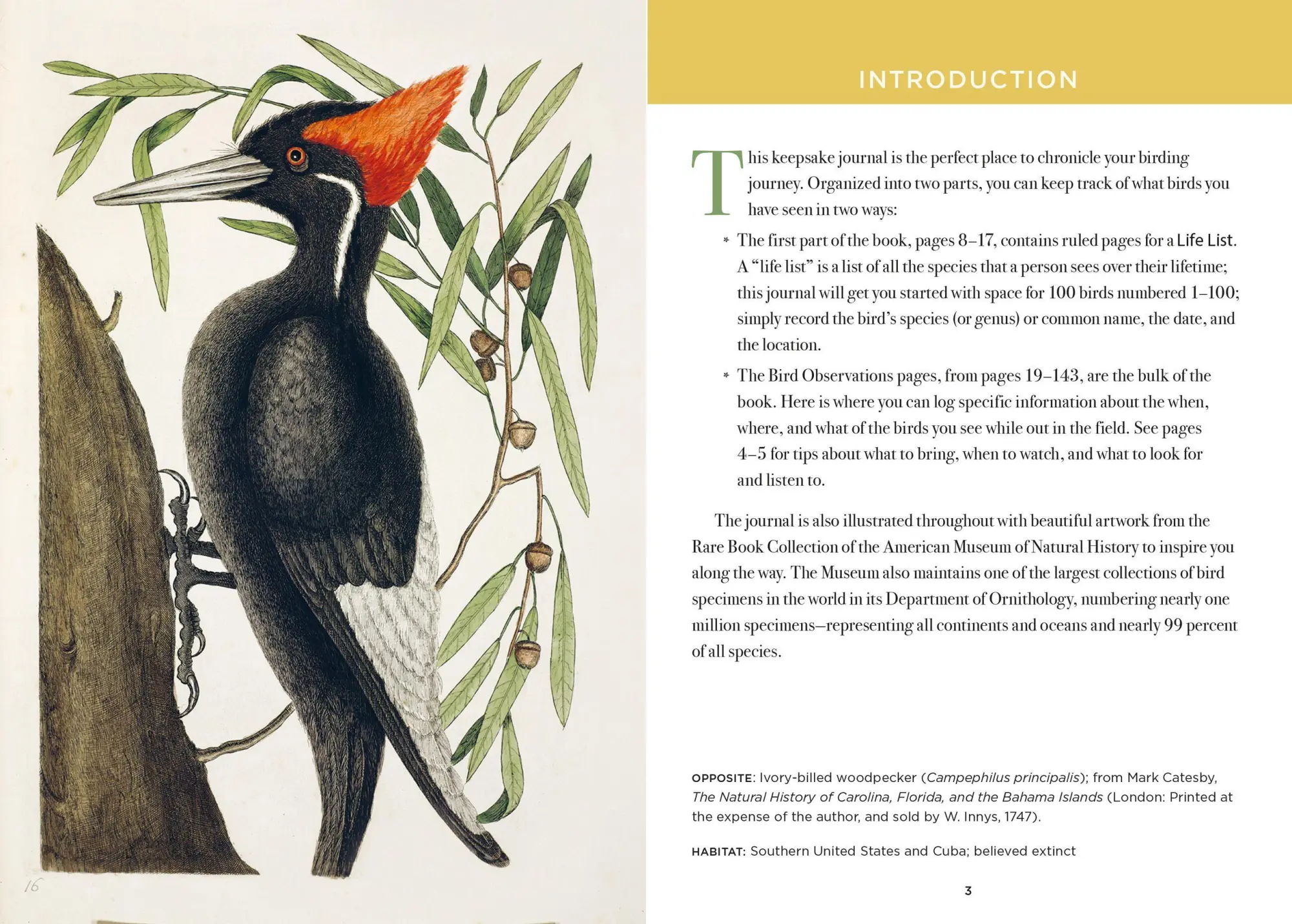 Bild: 9781454962670 | The Birdwatcher's Field Journal | A Life List and Birding Diary | Buch