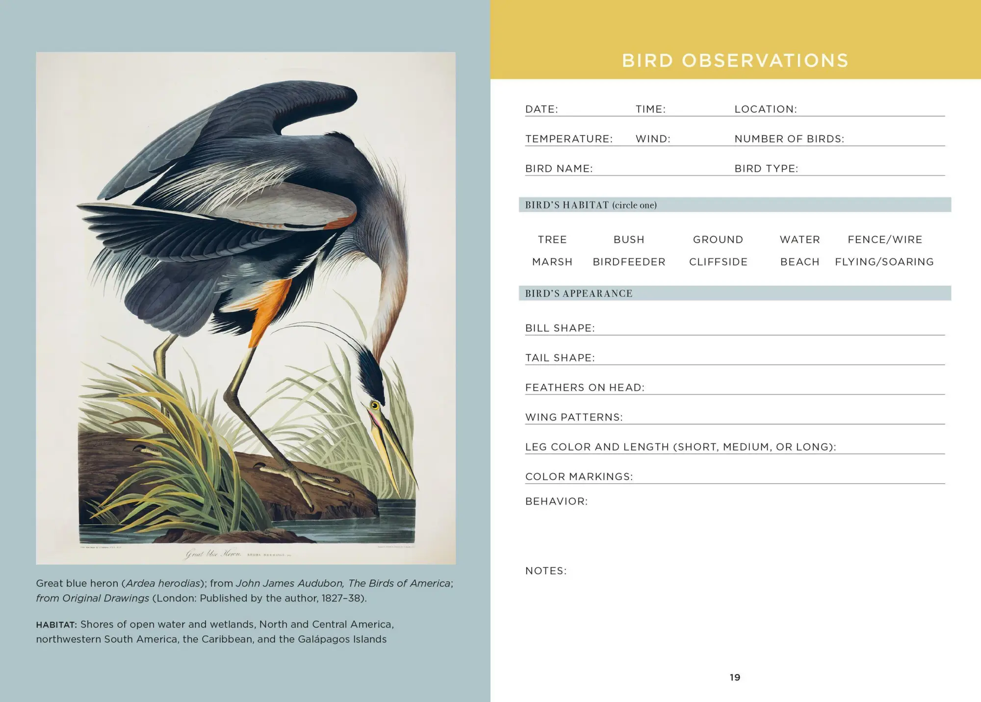 Bild: 9781454962670 | The Birdwatcher's Field Journal | A Life List and Birding Diary | Buch