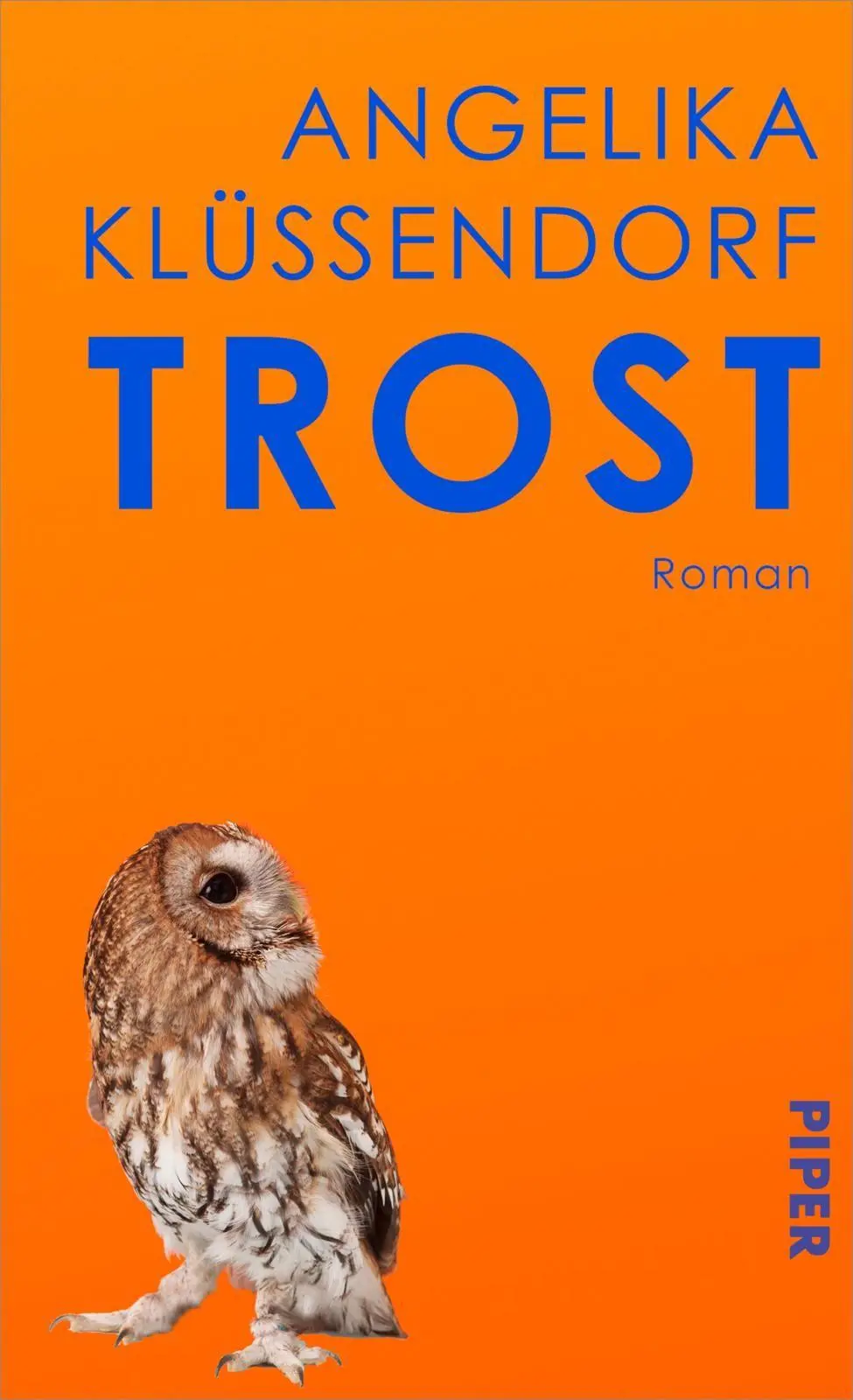 Cover: 9783492072670 | Trost | Roman 'Klüssendorfs Kunstfertigkeit ist bestechend.' NDR