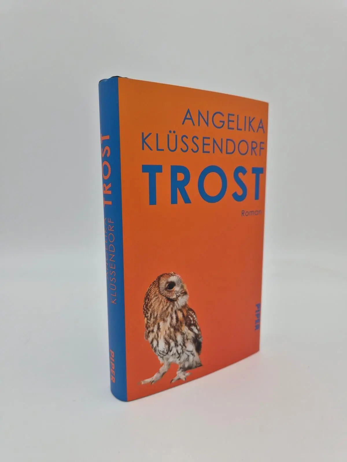 Bild: 9783492072670 | Trost | Roman 'Klüssendorfs Kunstfertigkeit ist bestechend.' NDR