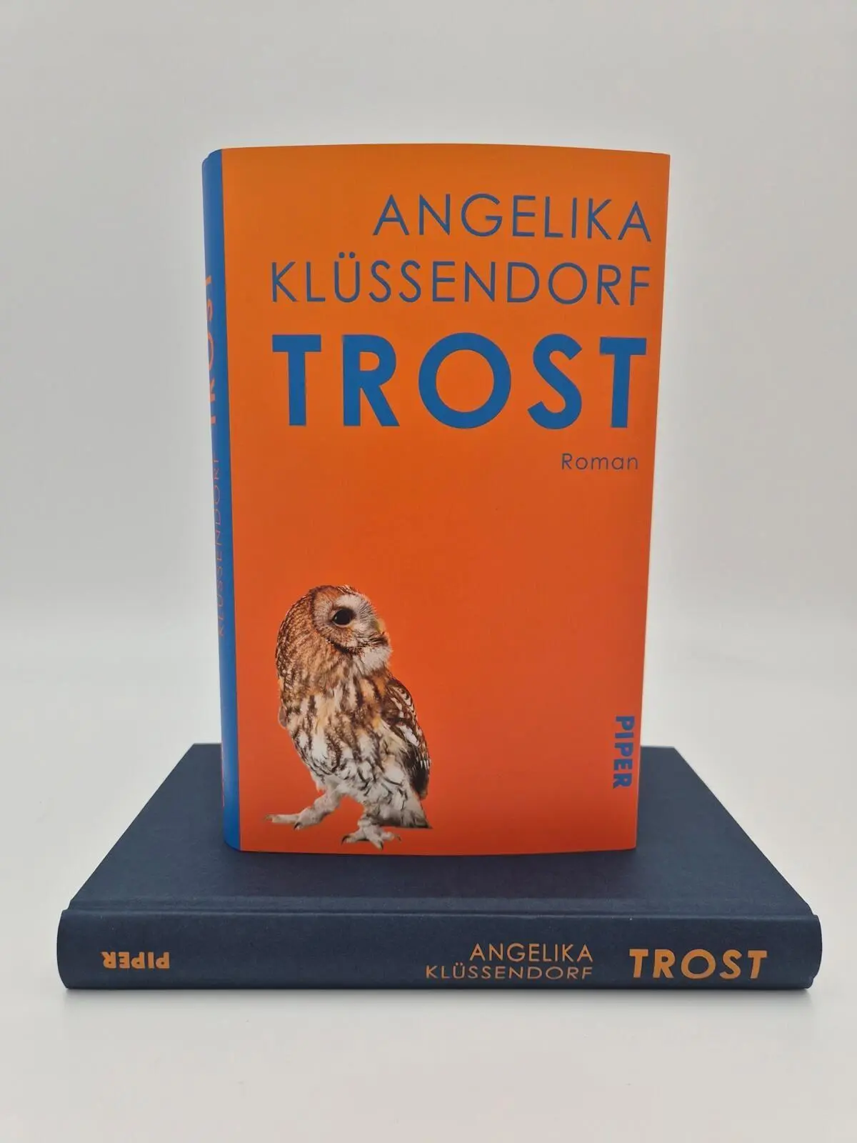 Bild: 9783492072670 | Trost | Roman 'Klüssendorfs Kunstfertigkeit ist bestechend.' NDR