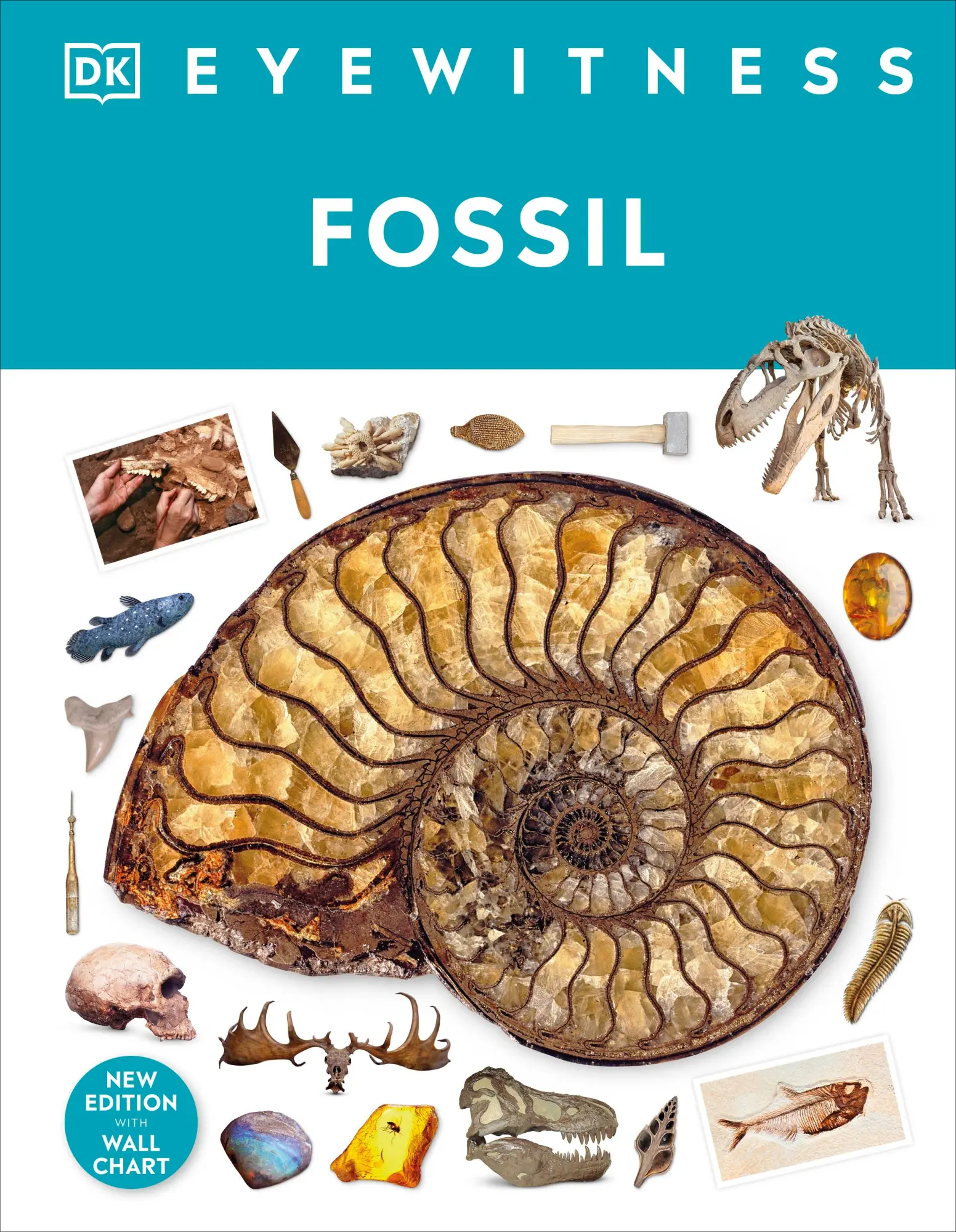 Cover: 9780241652770 | Fossil | Paul David Taylor | Buch | 72 S. | Englisch | 2023