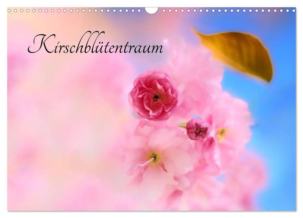 Cover: 9783457892770 | Kirschblütentraum (Wandkalender 2026 DIN A3 quer), CALVENDO...