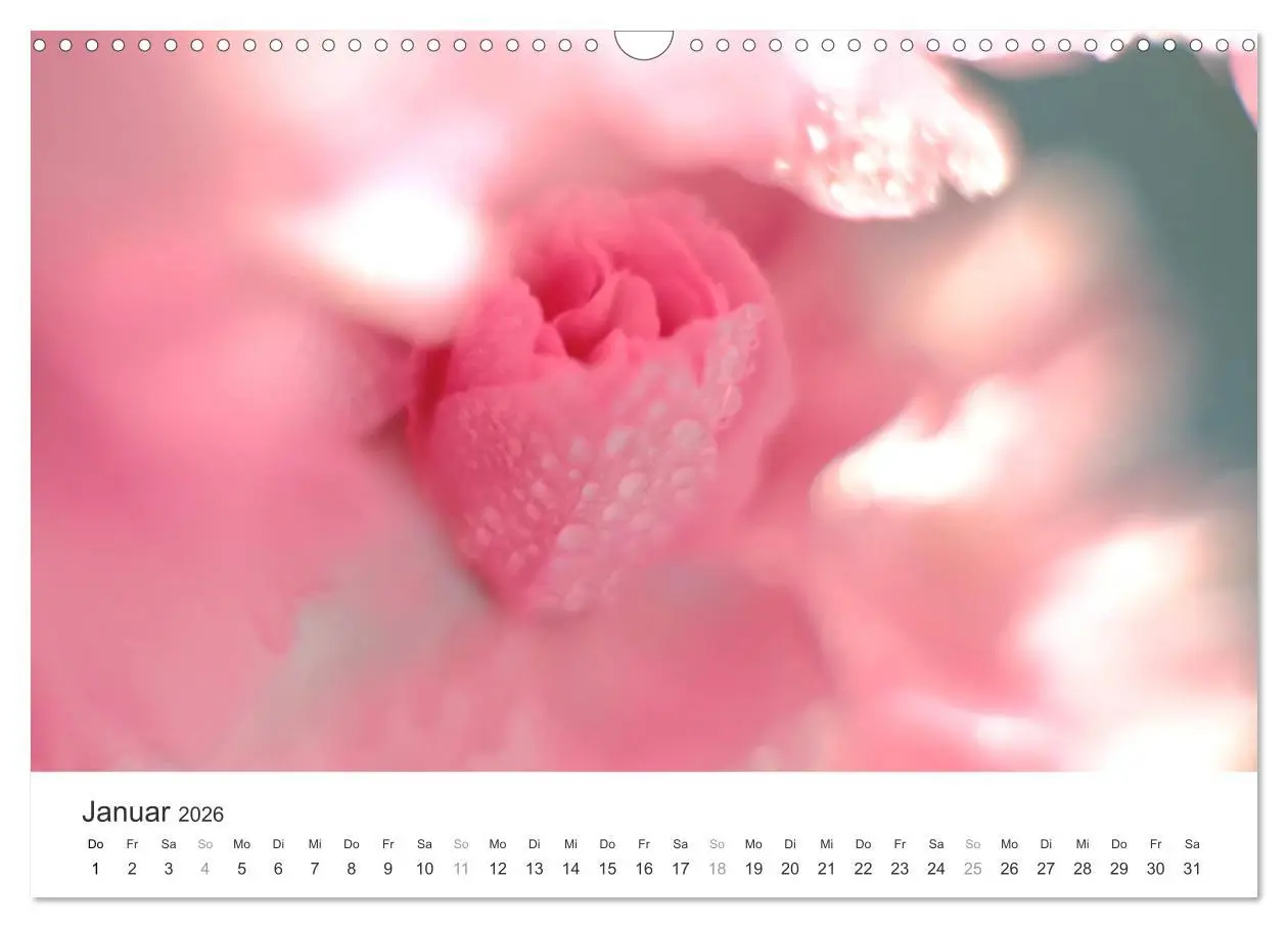 Bild: 9783457892770 | Kirschblütentraum (Wandkalender 2026 DIN A3 quer), CALVENDO...