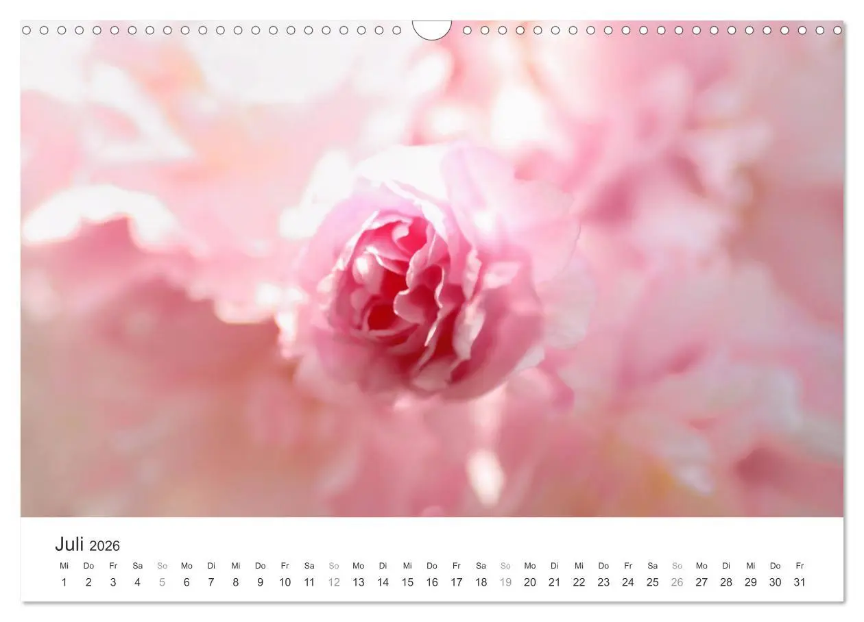 Bild: 9783457892770 | Kirschblütentraum (Wandkalender 2026 DIN A3 quer), CALVENDO...