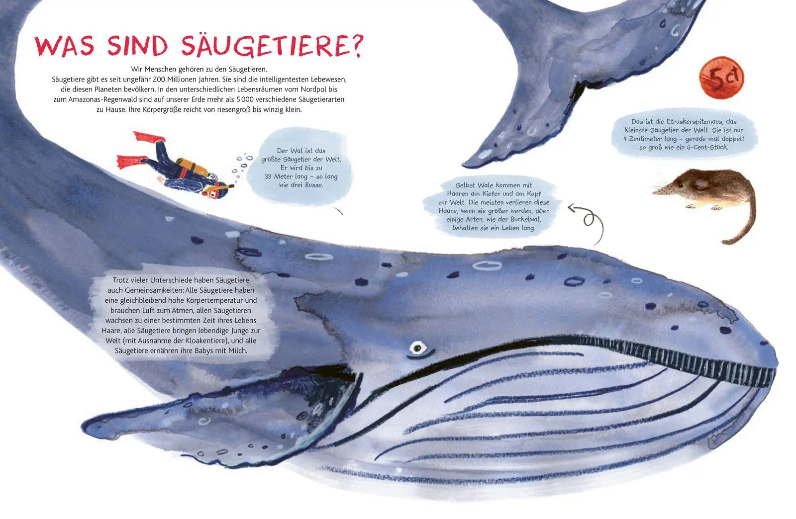 Bild: 9783737372770 | Kleine Säugetiere werden groß | Cathy Evans | Buch | 40 S. | Deutsch
