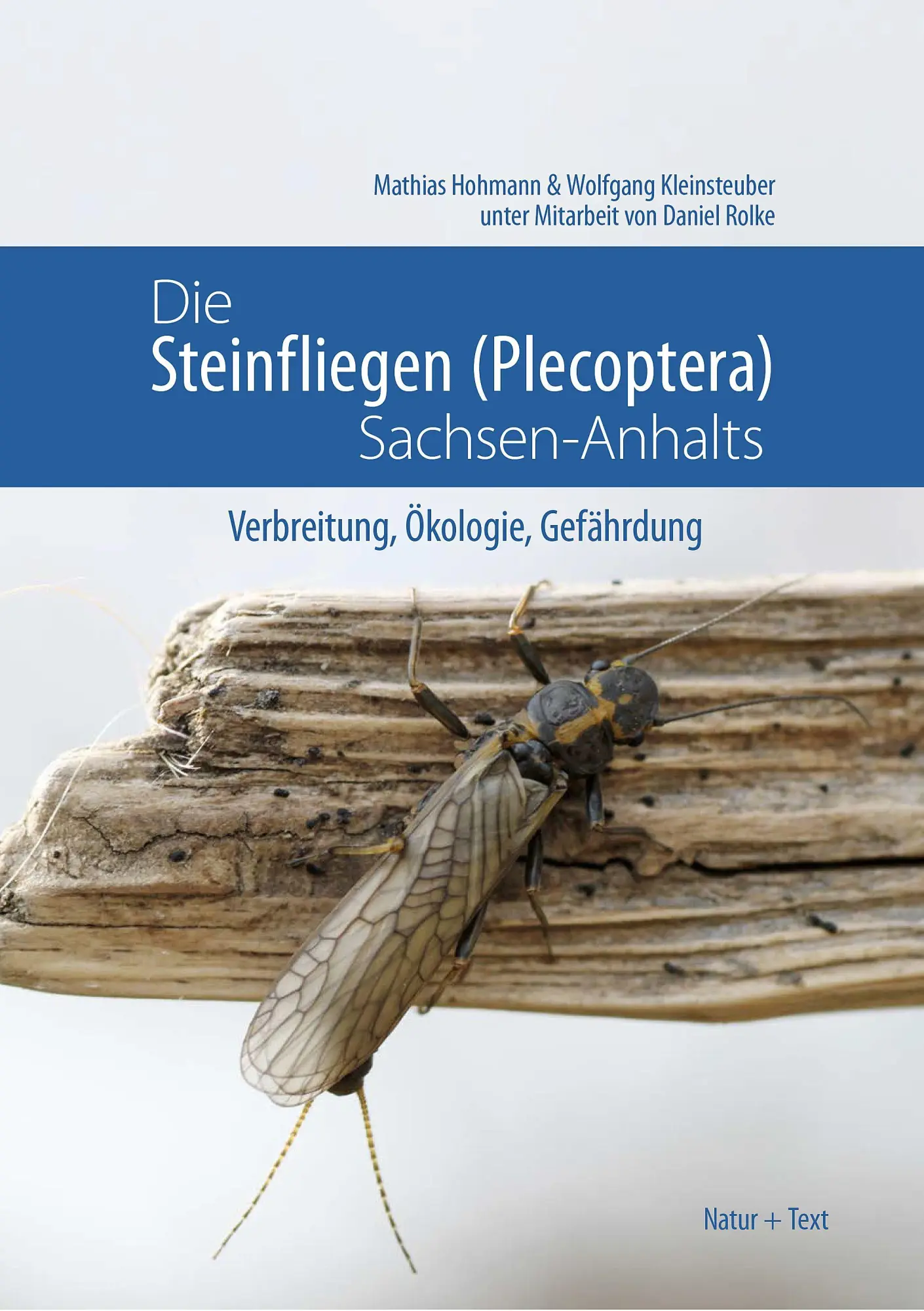 Cover: 9783942062770 | Die Steinfliegen (Plecoptera) Sachsen-Anhalts | Hohmann (u. a.) | Buch