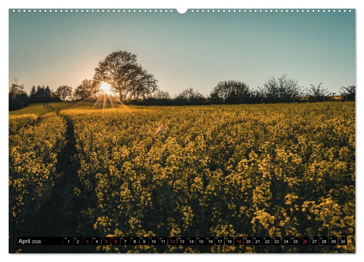 Bild: 9783457702970 | Das Münsterland - Meine Impressionen (Wandkalender 2026 DIN A2...