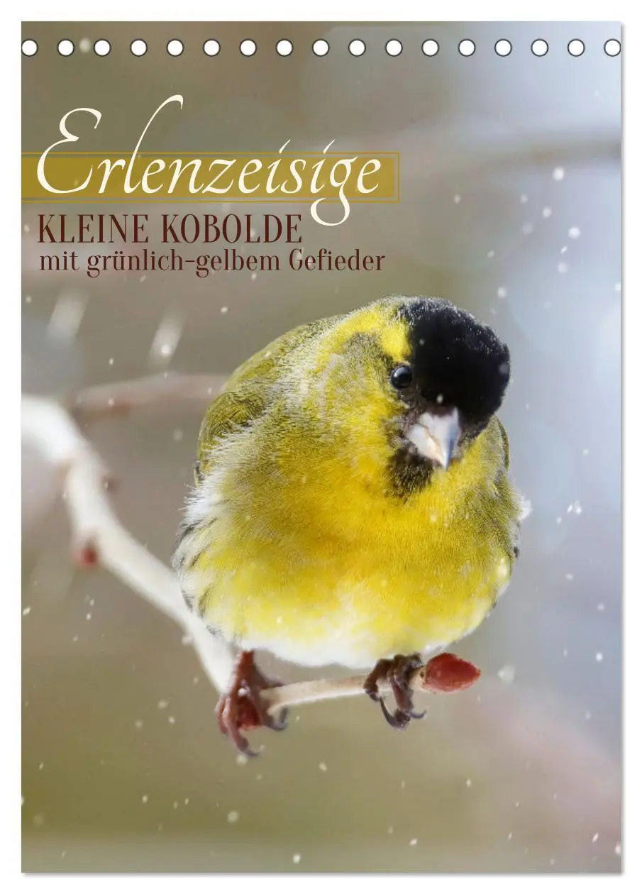 Cover: 9783516272970 | Erlenzeisige, kleine Kobolde (Tischkalender 2026 DIN A5 hoch),...