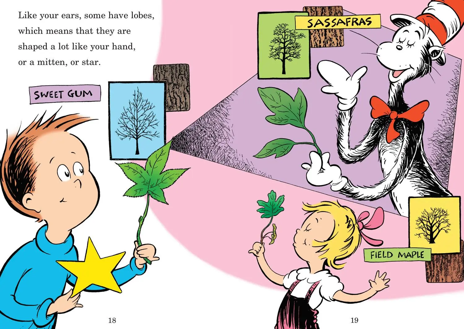 Bild: 9780007433070 | I Can Name 50 Trees Today | Seuss | Taschenbuch | Englisch | 2011