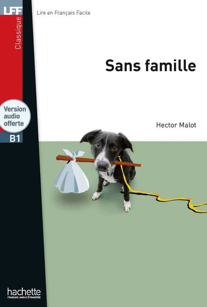 Cover: 9783194633070 | Sans famille | Lektüre mit Übungen, Lösungen und Audio-Download | Buch