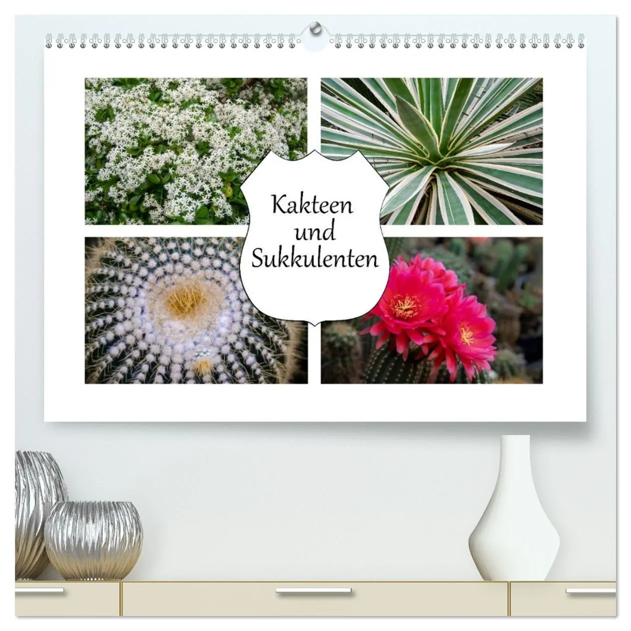 Cover: 9783457693070 | Kakteen und Sukkulenten (hochwertiger Premium Wandkalender 2026 DIN...