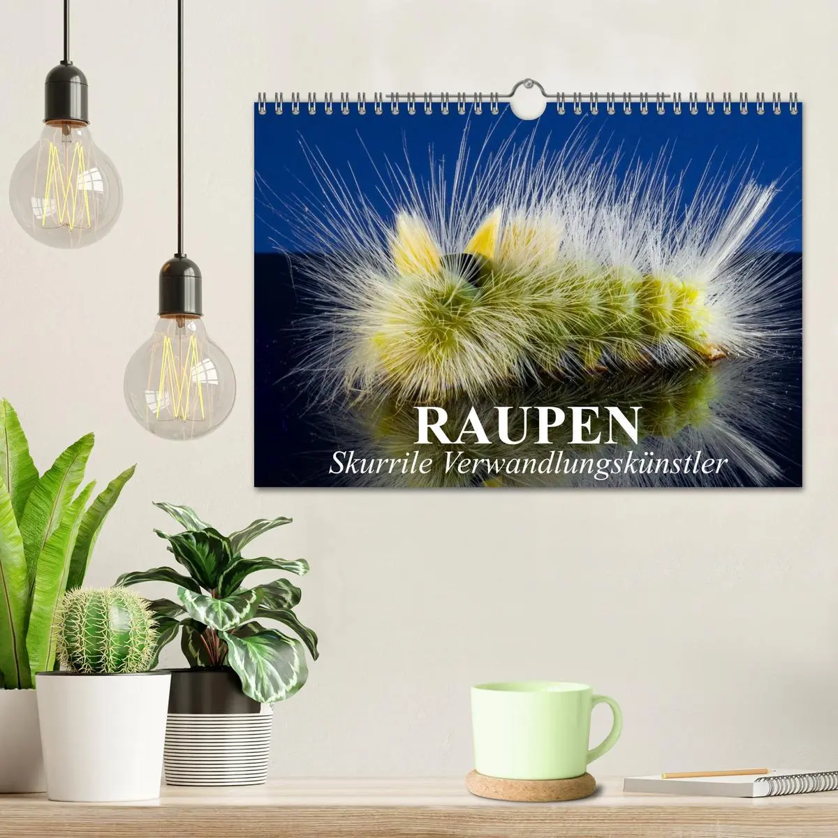 Bild: 9783516093070 | Raupen - Skurrile Verwandlungskünstler (Wandkalender 2026 DIN A4...