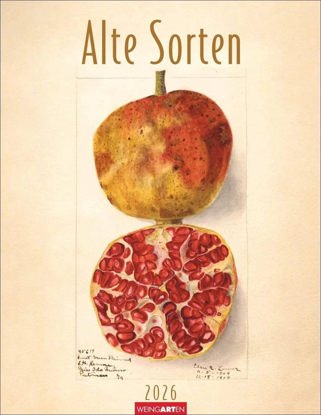 Cover: 9783839903070 | Alte Sorten Kalender 2026 | Kalender | 14 S. | Deutsch | 2026