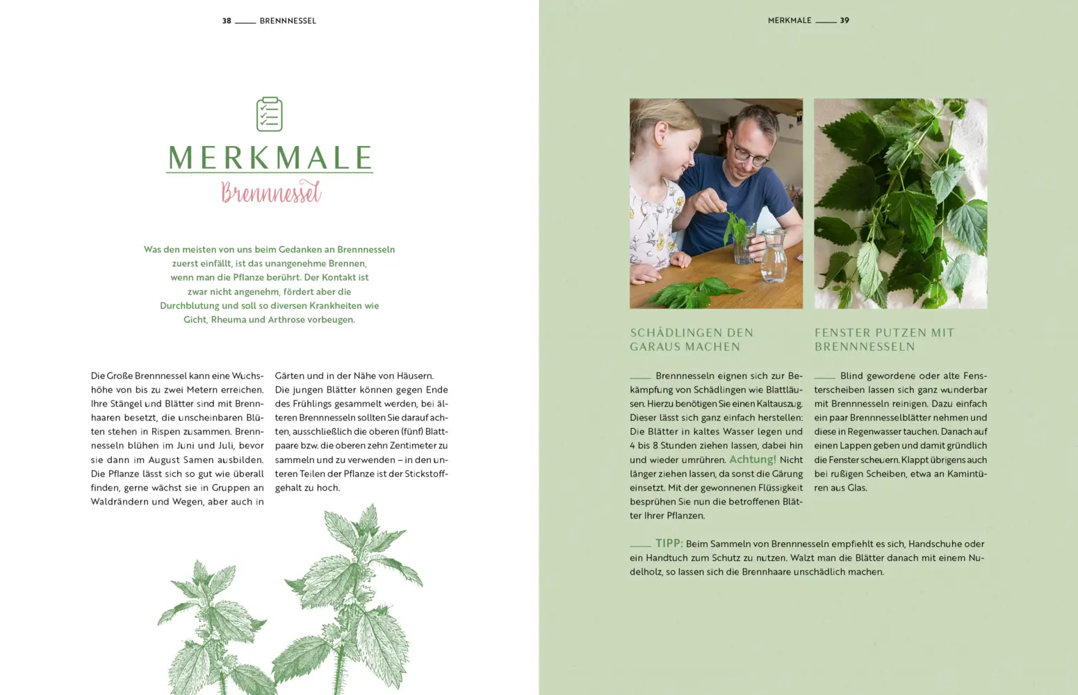 Bild: 9783982153070 | Wilde Familienküche | Mit Wildkräutern gesund leben und lecker kochen