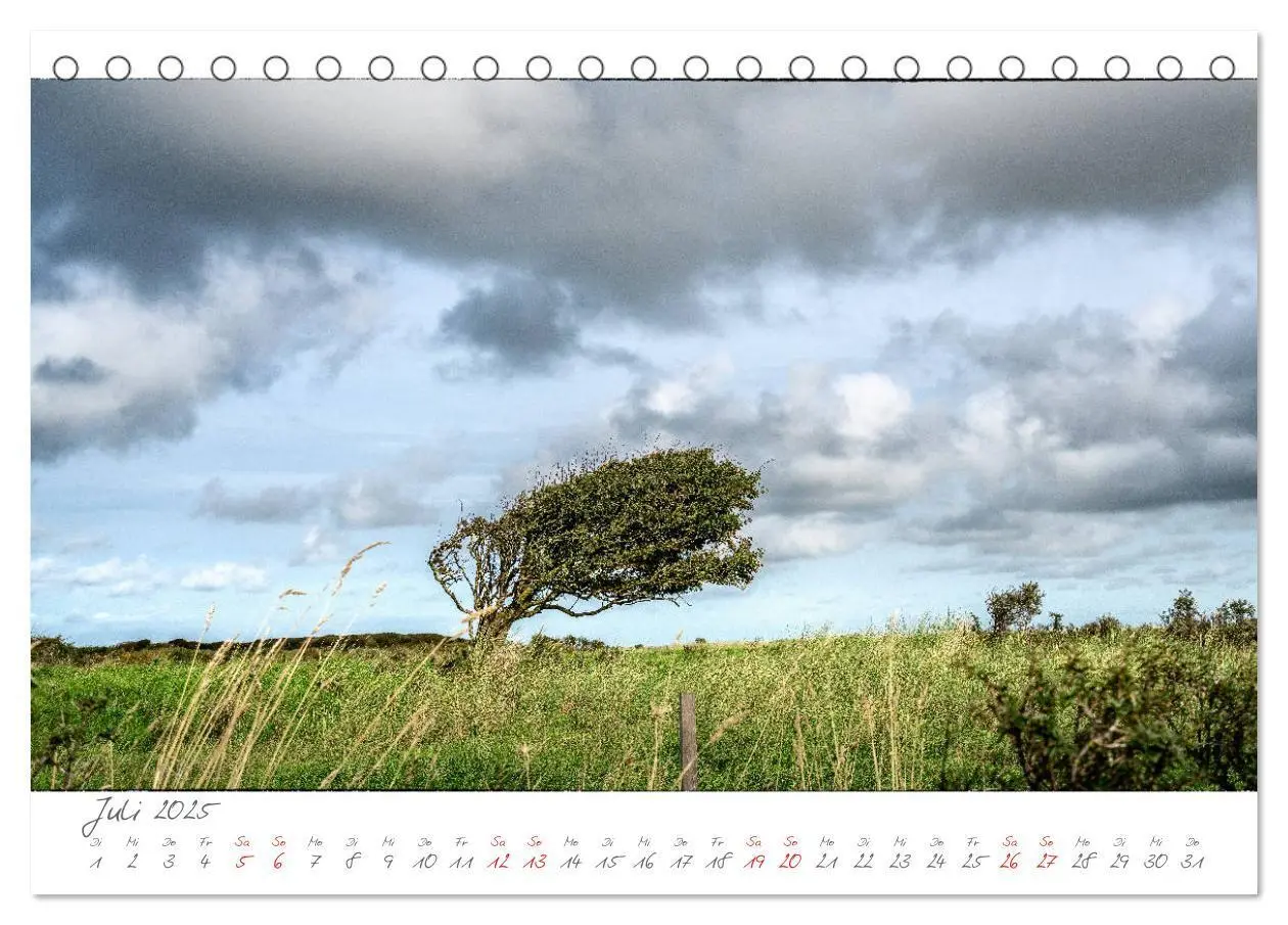 Bild: 9783435283170 | JÜTLAND ERLEBEN (Tischkalender 2025 DIN A5 quer), CALVENDO...