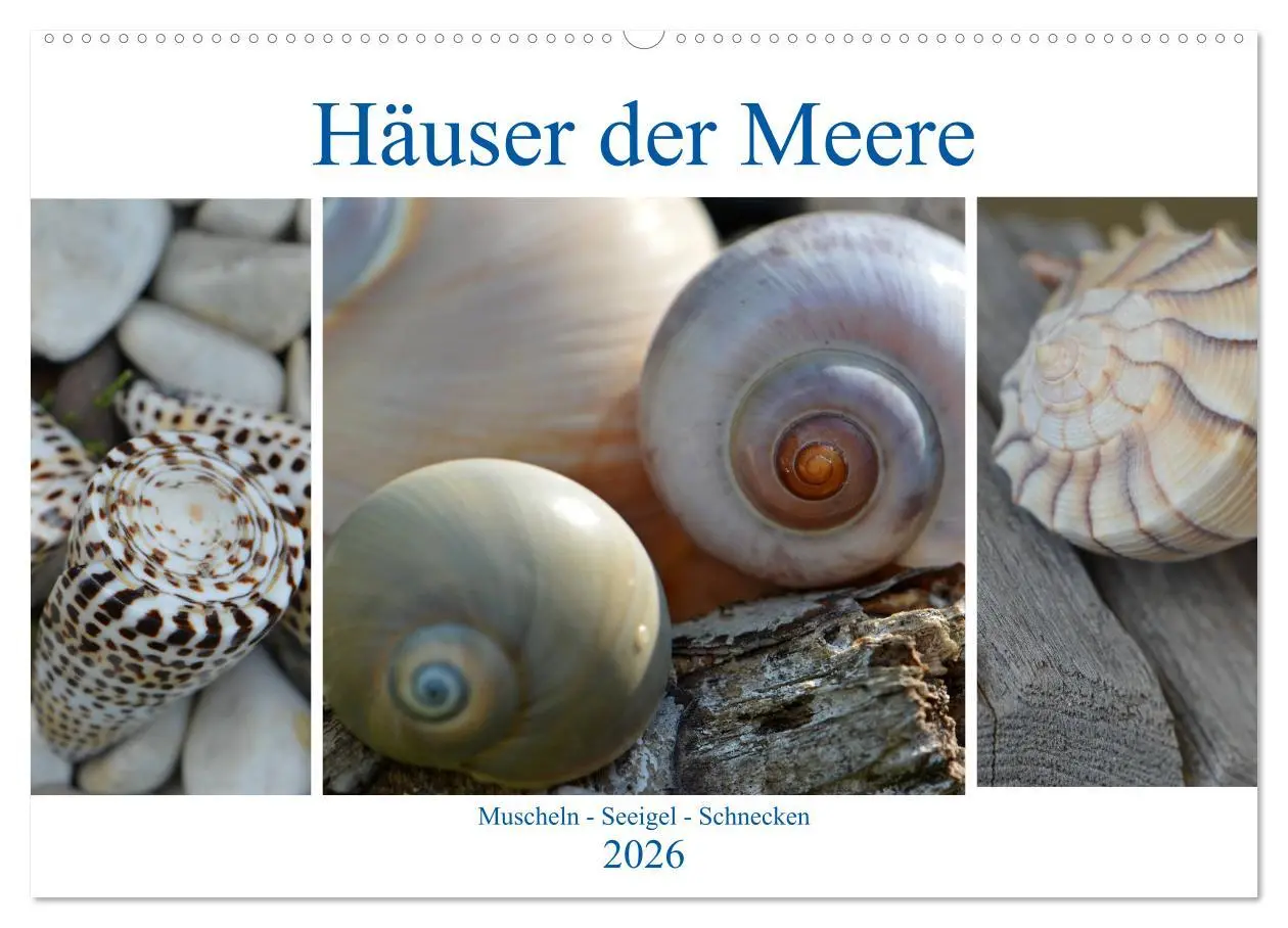 Cover: 9783457823170 | Häuser der Meere: Muscheln - Seeigel - Schnecken (Wandkalender 2026...