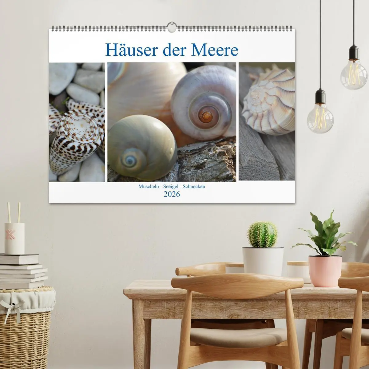 Bild: 9783457823170 | Häuser der Meere: Muscheln - Seeigel - Schnecken (Wandkalender 2026...