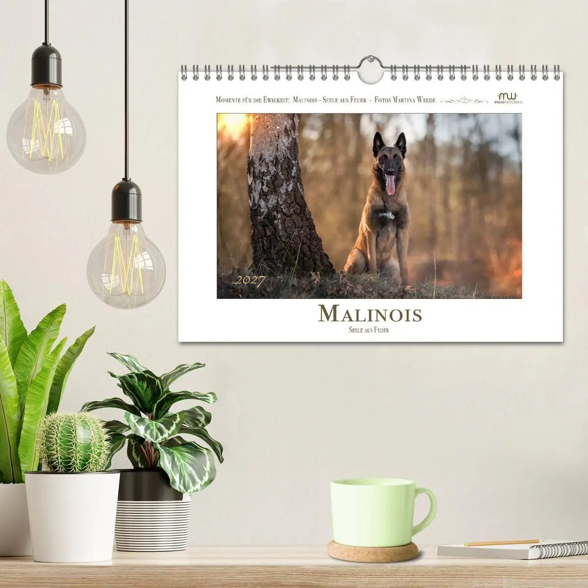 Bild: 9783516773170 | Malinois - Seelen aus Feuer (Wandkalender 2027 DIN A4 quer),...