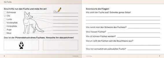 Bild: 9783939293170 | Ich kenne Waldtiere - Schülerarbeitsheft für die 2. bis 4. Klasse